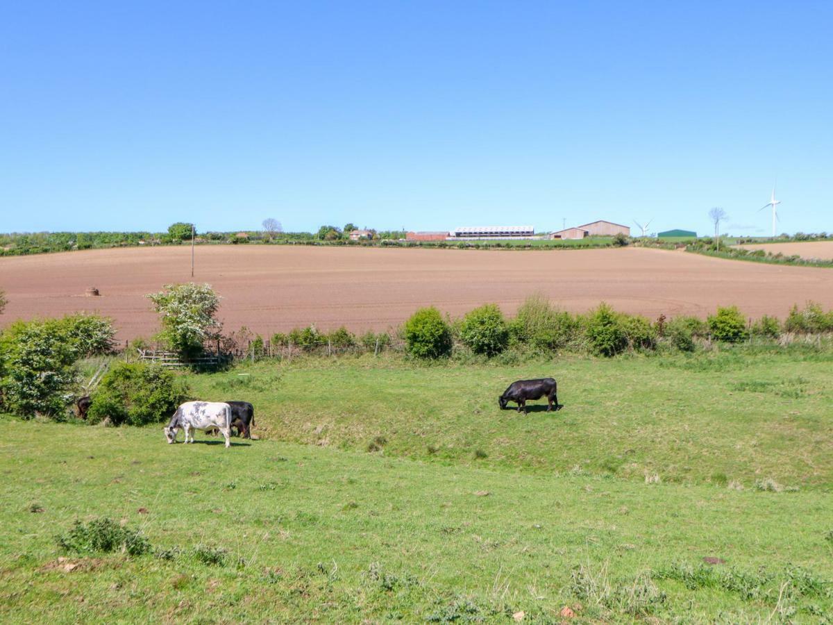 דורהם Bramble Cottage מראה חיצוני תמונה